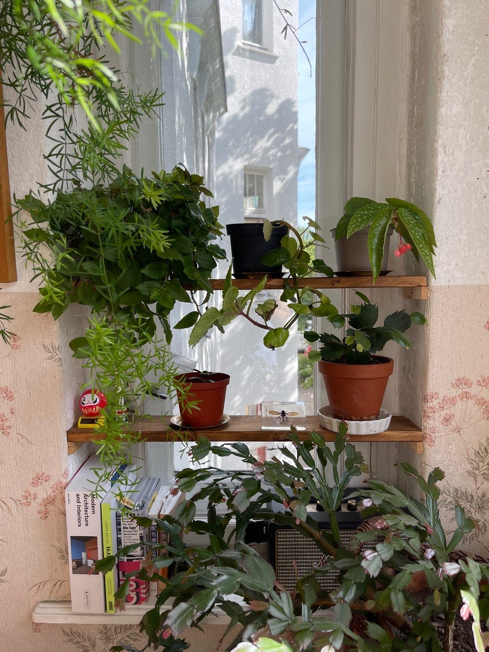 Erkerfenster mit Pflanzenregalen und Hängepflanzen gestalten