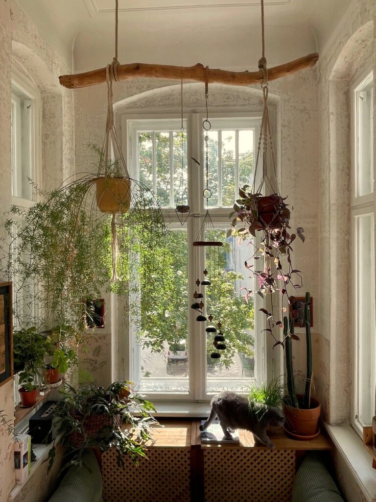 Hängepflanzen am Fenster mit Treibholz als Blumenampel