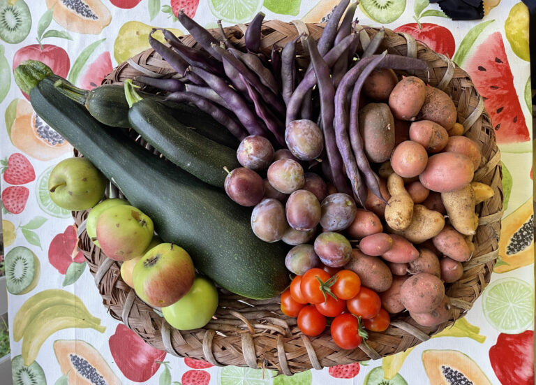 Erntekorb mit Zucchini, Bohnen, Tomaten und Kartoffeln aus dem Kleingarten – Symbolbild zur Gartentagebuch Vorlage