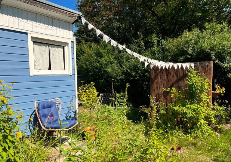 Gemütliche Sitzecke im Kleingarten mit Rattansessel und blauen Kissen vor blauem Gartenhaus
